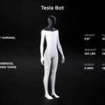 Elon Musk announces Tesla plan to destroy humanoid r...