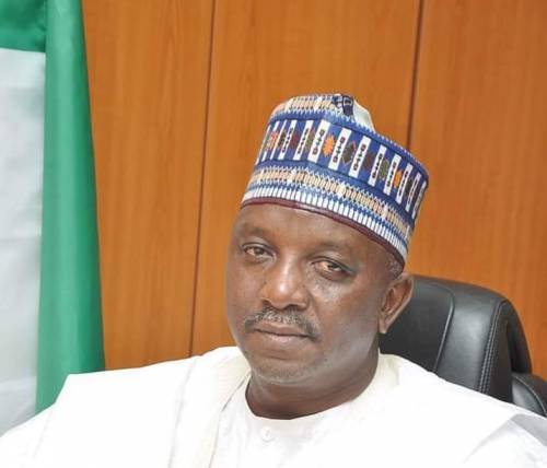 Doctors advised I needed rest after Buhari fired me - ex-power minister, Mamman