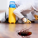 Home Pest Control - Best Eco Defense Home Pest Control Sprays In 2022